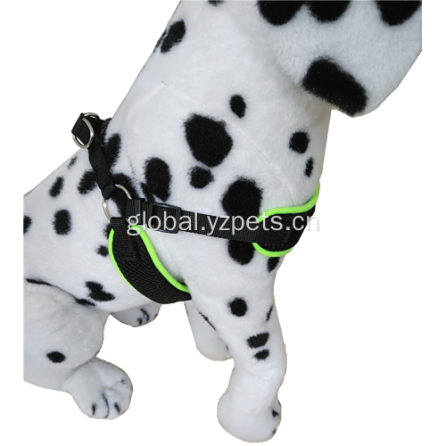 Top Product Dog Harness Comfortable breathable durable neck adjustable dog harness Supplier